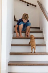 Put Down Stair Treads or a Staircase Runner