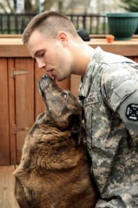 Service dogs help with PTSD