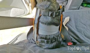 Sleepypod Clickit Terrain Dog Harness