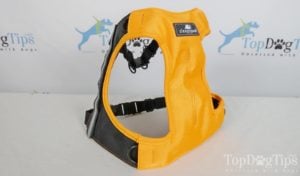 An Example Picture of Sleepypod Clickit Terrain Dog Harness