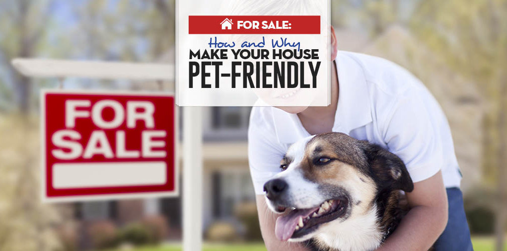 Top 15 Ways to Make Your House Pet-Friendly Before Selling