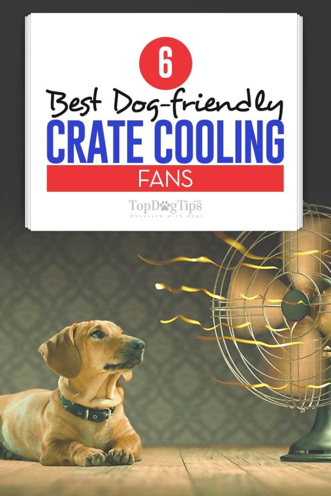 Top Rated Best Dog Crate Cooling Fans