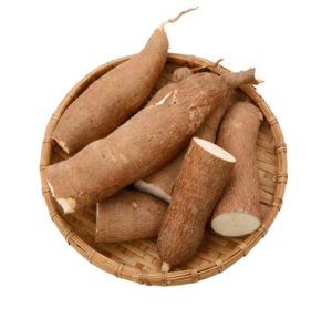 Yucca Root for dogs