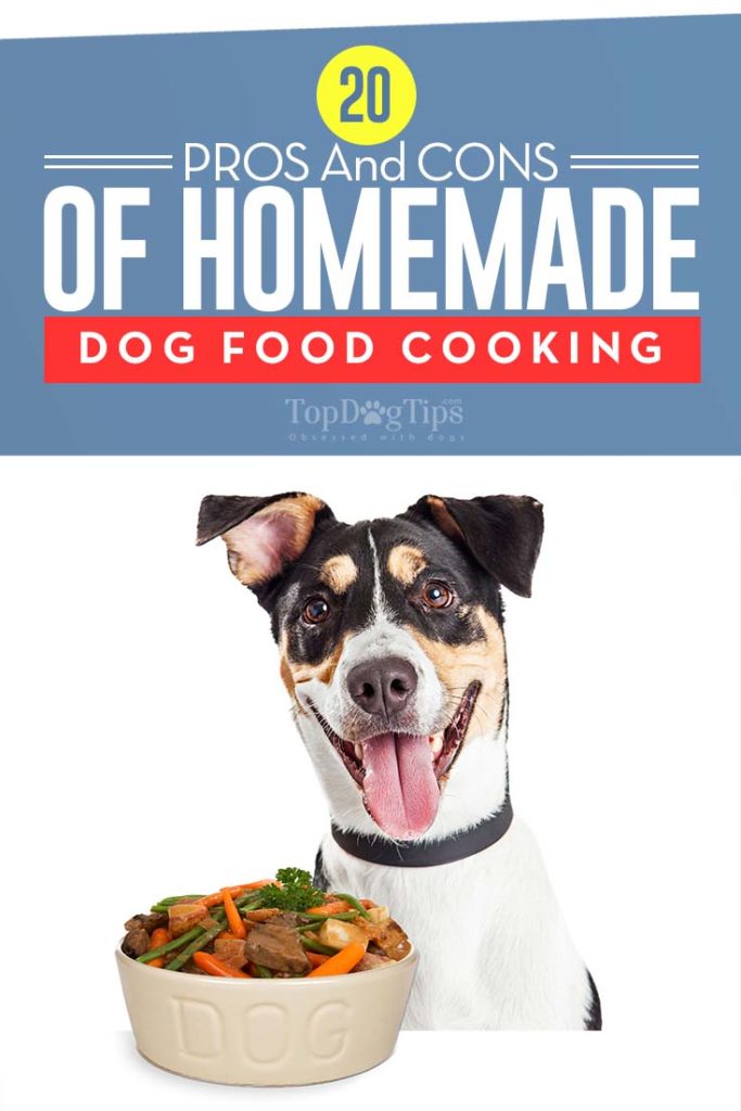 20 Pros and Cons of Making Homemade Dog Foods