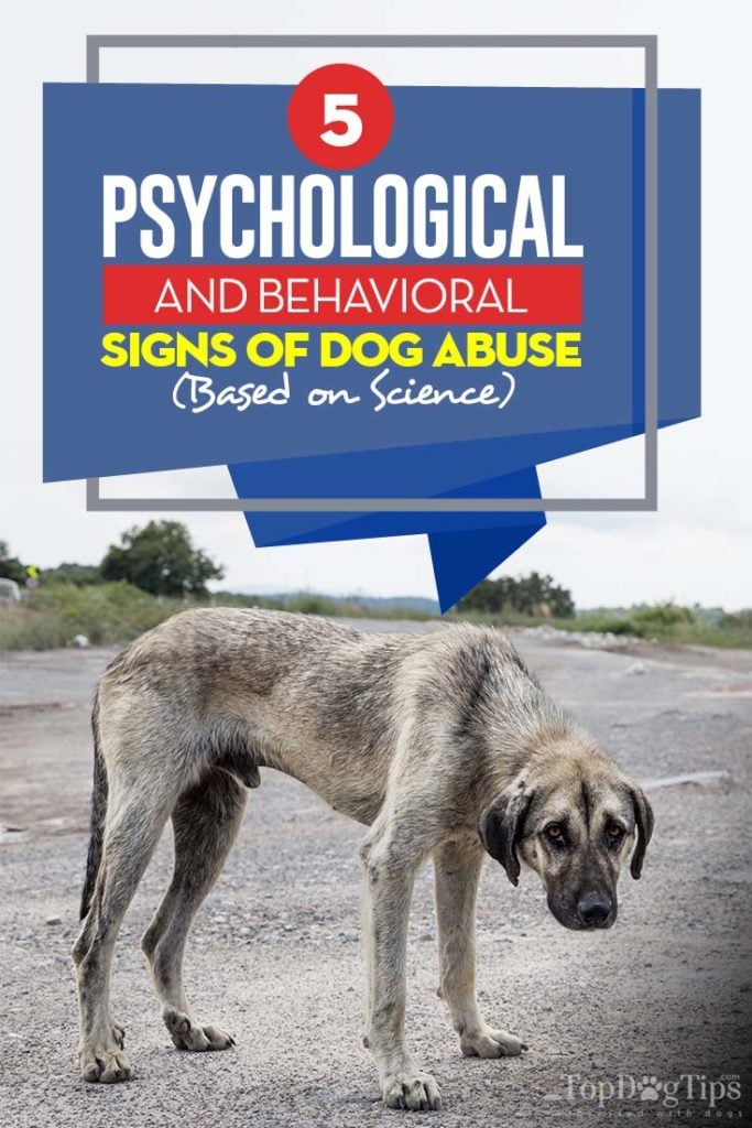 5 Common Signs of Dog Abuse