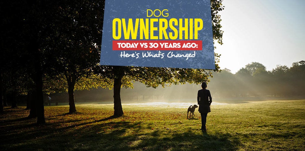 Comparing Dog Ownership Today vs 30 Years Ago