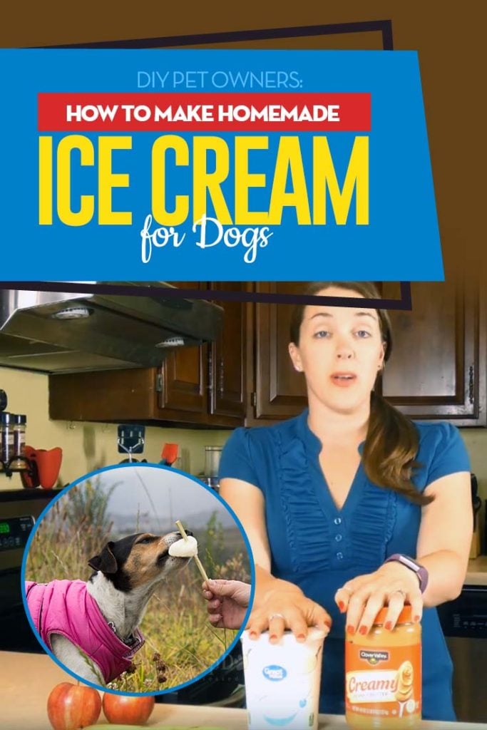 Guide on How to Make Dog Ice Cream (Homemade Dog Ice Cream)