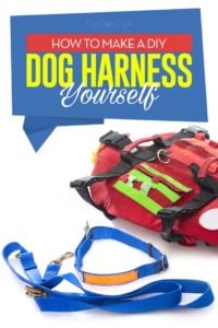 How to Make a Dog Harness Yourself