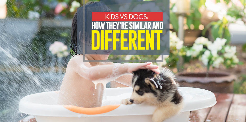 Kids vs Dogs - Differences and Similarities of Raising Children and Dogs