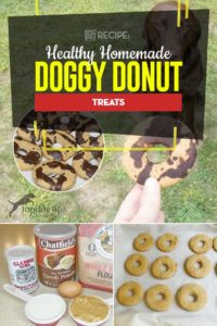 My Favorite Homemade Doggy Donut Treats