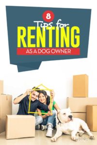 Renting with Dogs - 8 Tips for Leasing Apartment House as a Pet Owner