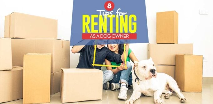 Renting with Dogs - Top 8 Tips for Leasing ApartmentHouse as a Pet Owner