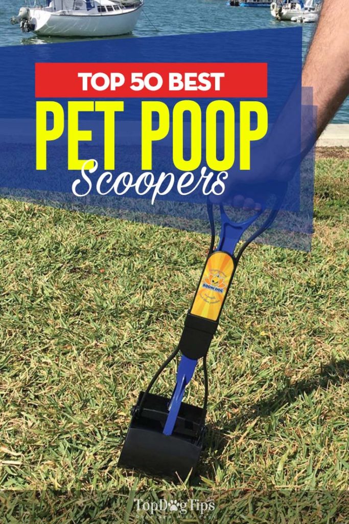 50 Top Rated Best Dog Pooper Scooper Brands