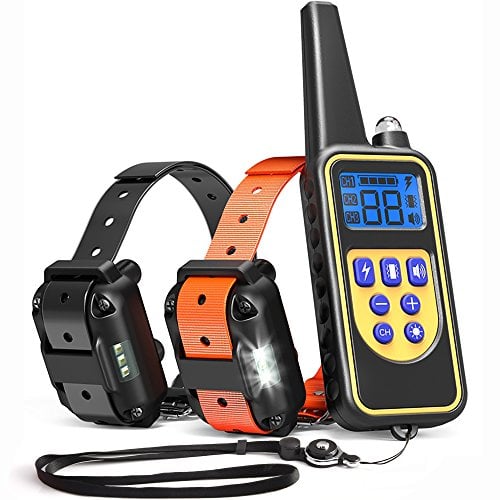 iSPECLE Dog Training Collar