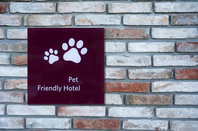 8 Most Dog Friendly Hotels and Hotel Chains in the U.S.