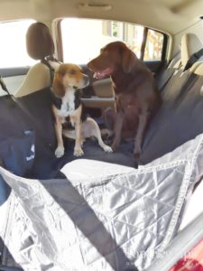 BarkinBuddy Dog Car Seat Cover Review