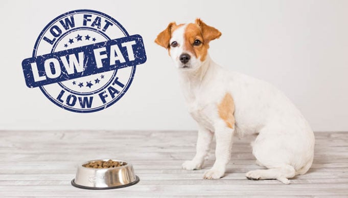 Best Low Fat Dog Food Brands