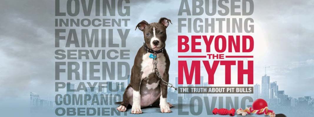 Beyond the Myth dog documentary