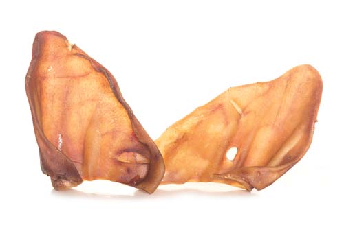 Dangerous Pig Ears for Dogs