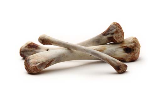 Dangers of Cooked Bones for Dogs