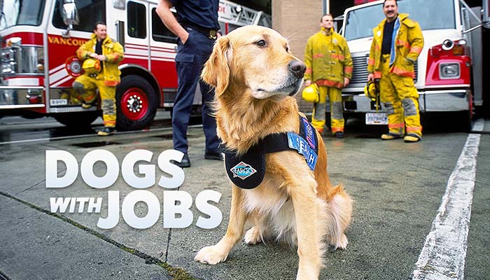 Dogs with Jobs dog documentary