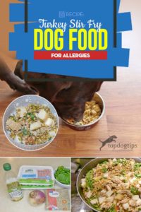 My Top Turkey Stir Fry Dog Food for Allergies Recipe