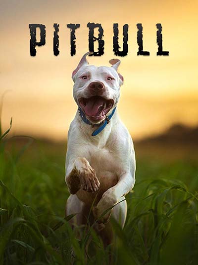 Pitbull dog documentary