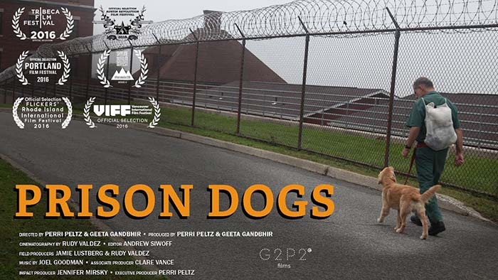 Prison Dogs dog documentary