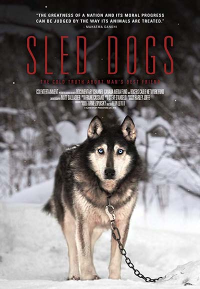 Sled Dog Soldiers dog documentary