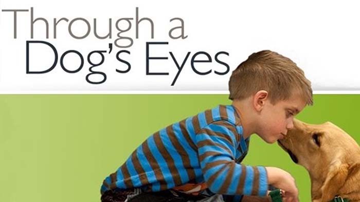 Through a Dogs Eyes dog documentary