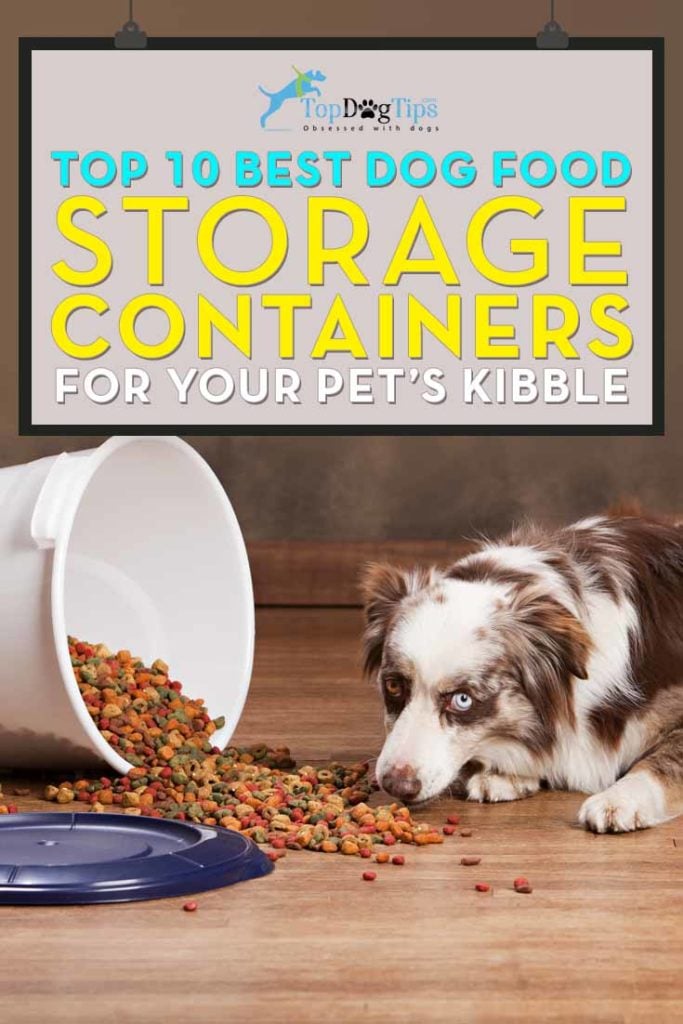 Top Rated Best Dog Food Storage Container