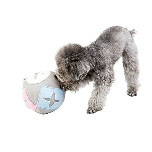 Dog Nosework Training Snuffle IQ Treat Ball