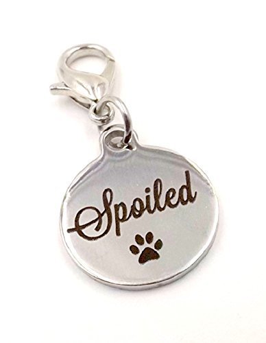 Handmade gift for dogs - “Spoiled” Bling Charm