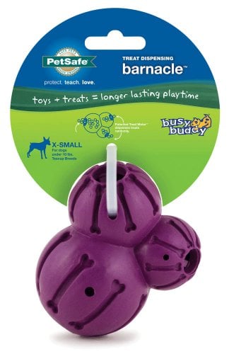 Busy Buddy Barnacle Treat Dispensing Dog Toy