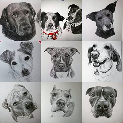 6" x 6" Custom, Hand-Drawn Dog Portrait on Amazon