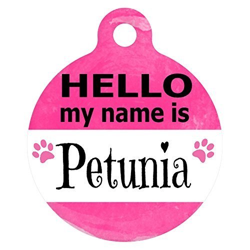 “HELLO, My Name Is…” Pet ID Tag