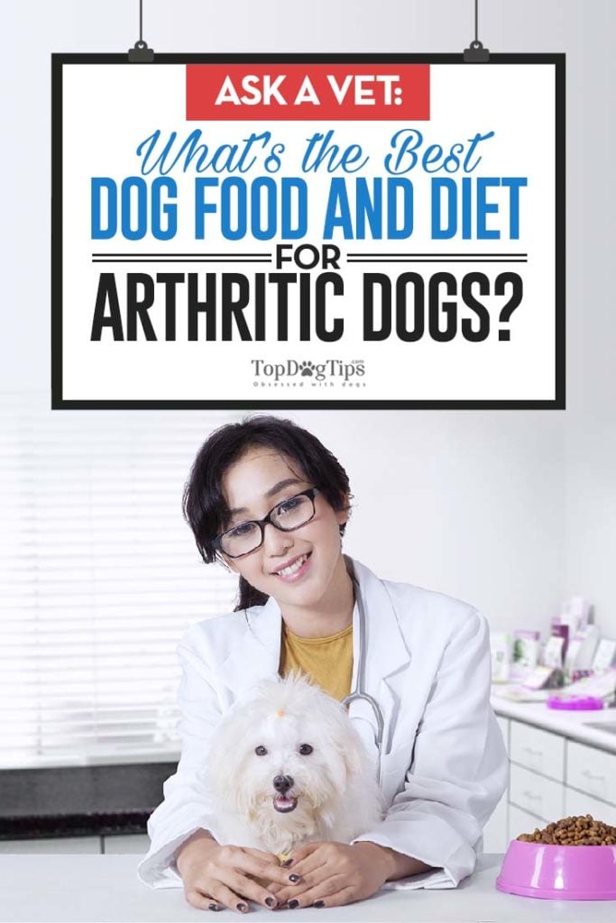 Ask a Veterinarian - What Is the Best Dog Food for Arthritis