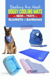 Comparing Dog Cooling Products - Mat vs Pad vs Bed vs Vest vs Blanket vs Bandana