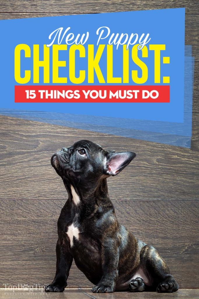 Detailed New Puppy Owner Checklist