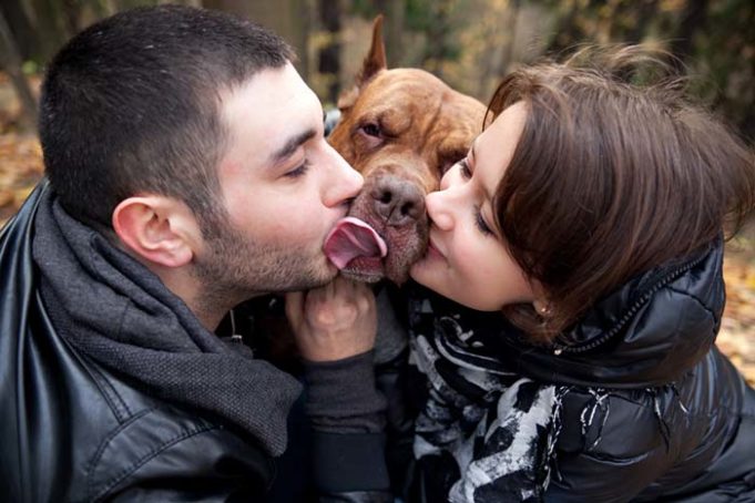 Do Loving Dogs Still Feel Jealousy - Science Says Yes