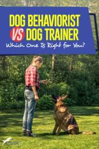 Dog Behaviorist vs Dog Trainer - Which One Is Right for You