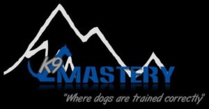 K9 Mastery Dog Training Austin