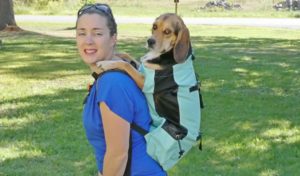 K9 Sport Sack Air Plus giveaway