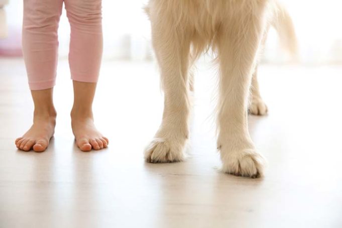 Kids Who Grow Up With Dogs Have Lower Asthma Risks