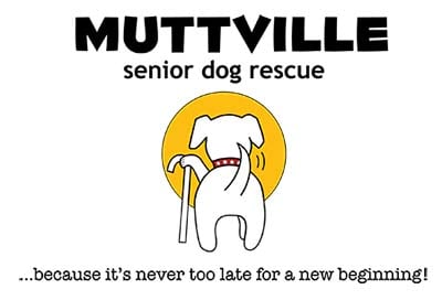 Muttville - Best Animal Charities