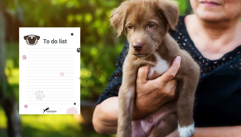 New Puppy Checklist - 15 Things You Must Do