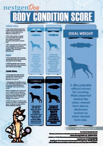 NextGenDog Dog Body Condition Score Chart (BCS)