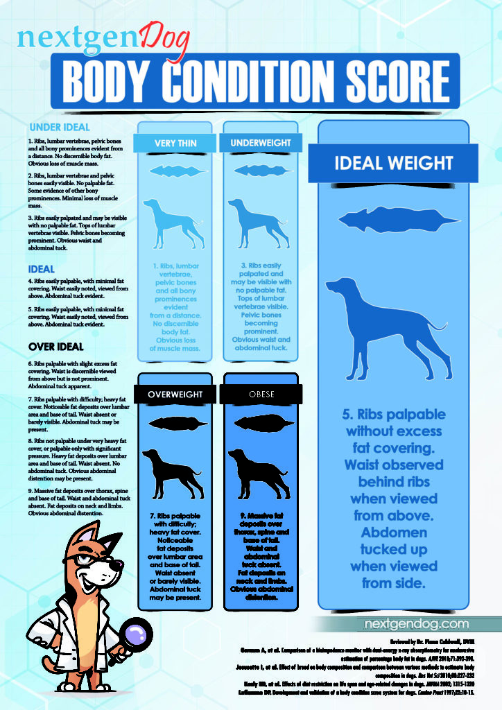 NextGenDog Dog Body Condition Score Chart (BCS)