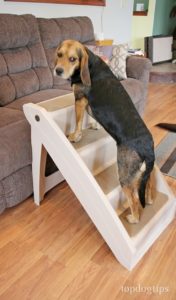 PetSafe Solvit PupSTEP Plus Pet Stairs Review