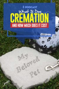 Podcast - What Is Dog Cremation and How Much Does It Cost